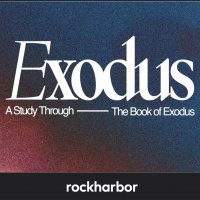 Growing In The Dark (1/9/2021)