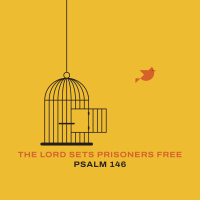 528 The Lord Sets Prisoners Free (Psalm 146) Sermon