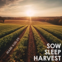 489 Sow Sleep Harvest (Mark 4:26-29) Sermon