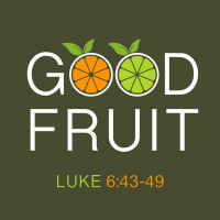 249 Good Fruit (Luke 6:43-49) Sermon