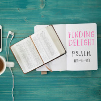 161 Finding Delight (Psalm 119 41 - 48) July 2nd 2017