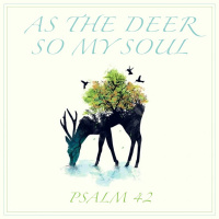158 As The Deer So My Soul (Psalms 42  43) June 11th 2017