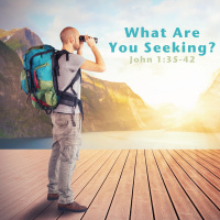 292 What Are You Seeking (John 1:37-45) Jon Dunning