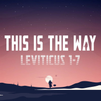 473 This Is The Way (Leviticus 1-7) [Jeremy Fritz]