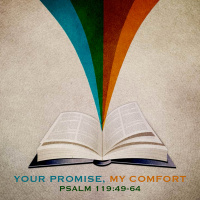 211 Your Word My Comfort (Psalm 119 49 - 64) June 17th 2018