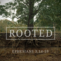 149 Rooted (Ephesians 3:14 - 19)April 9th 2017