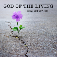 345 God Of The Living (Luke 20:27-40) Sermon