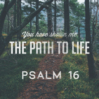 264 The Path Of Life (Psalm 16) Sermon