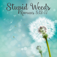 205 Stupid Weeds: Killing Sin (Romans 8:12-17) May 6th 2018