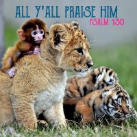 163 All Yall Praise Him (Psalm 150) July 16th 2017