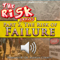 The Risk Series, Part 2 - The RISK of Failure