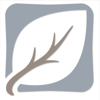 Mark: Truly Seeing (8.1-21)