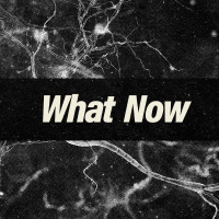 What Now? | Part 1 - Pace