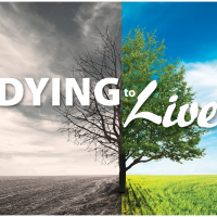 Dying to Live | Part 4 - What Baggage Am I Carrying?