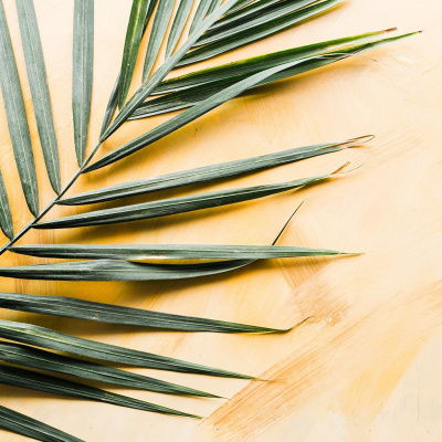 The Torch Worship Center - Audio Podcast