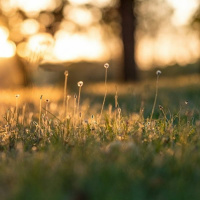 Nuach - Eternal Rest