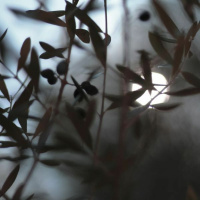 As the war in Ukraine grinds on