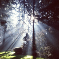 Slava Bogu : Praise to God in the highest (19th century Russian hymn, based on a Russian folk song)