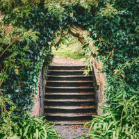 Come apart, My child