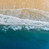 Saints On The Seashore - Reawakenings cd2