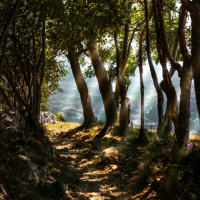 Seeking First The Kingdom