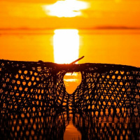 Behind the Scenes - Reawakenings cd4 track 10