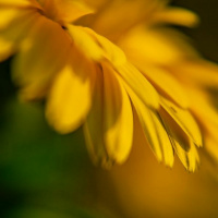 Jesus for love of You (Come Closer)