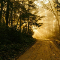 Your Constancy is greater than my fickleness - Part One