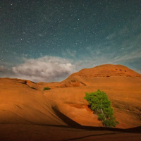 In A Dry And Waterless Place