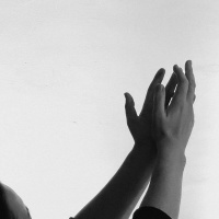 In the Courts of the Lord