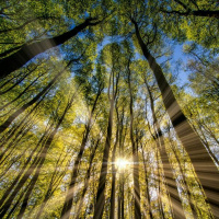 My Presence will go with you - Reawakenings cd4 track 2