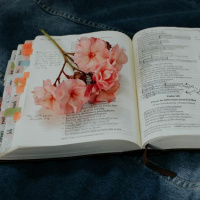 The Lord is our Treasure