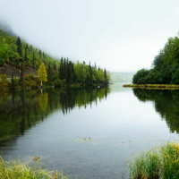 Comparisonitis - Reawakenings