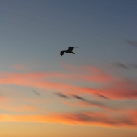 Dance Of Creation - Reawakenings cd2