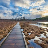 The Power Of Prayer - Reawakenings cd2