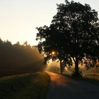 Your Constancy is greater than my fickleness - Part Three