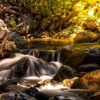 There remains a rest