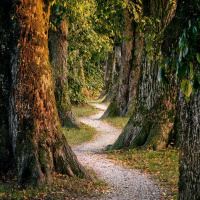 Encounter: On Our Pilgrimage