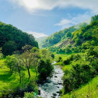 Transfiguration - Jesus - Life-bringer, Trail-blazer