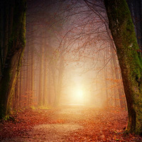 Les Brumes émergentes (Emerging from the Mist amid the autumn leaves)