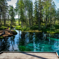 My Heart is not Proud