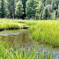 By Still Waters (Psalm 23)