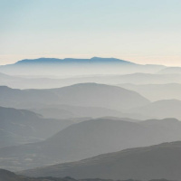 Nulla in mundo pax sincera