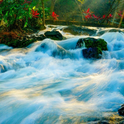 Ruach Breath Of Life