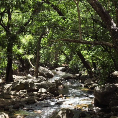 Ruach Breath Of Life