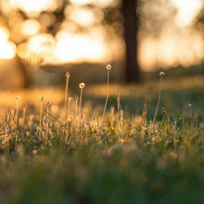 Ruach Breath Of Life