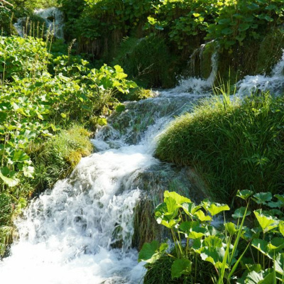 Ruach Breath Of Life