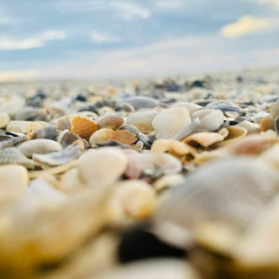 Ruach Breath Of Life