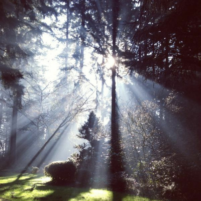 Ruach Breath Of Life