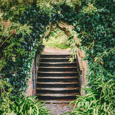 Ruach Breath Of Life